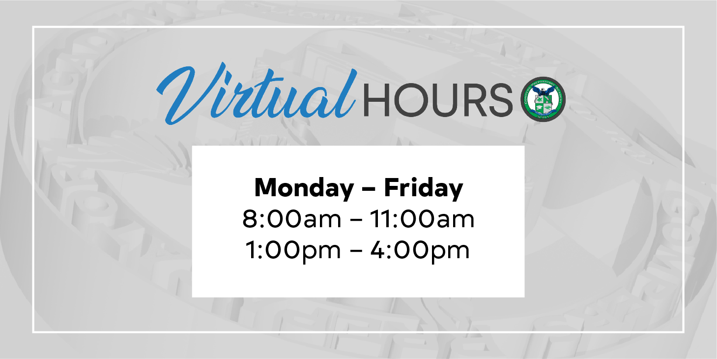 Virtual Hours